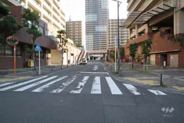 敷地東側の前面道路　