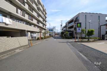 敷地南側の前面道路　