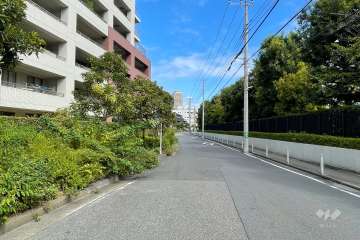 敷地の東側前面道路（南側から）