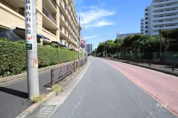 敷地南側の前面道路（西側から）