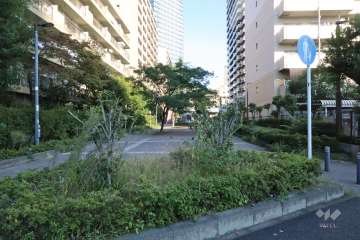 敷地南側の前面通路(西側から)