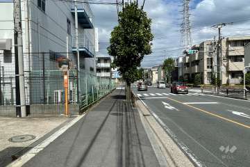 敷地の東側前面道路（南側から）