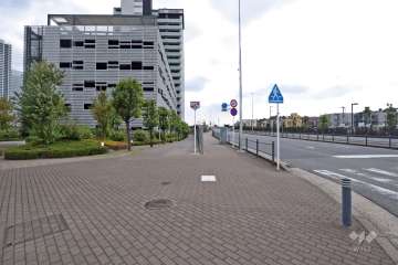 敷地西側の前面道路（北側から）