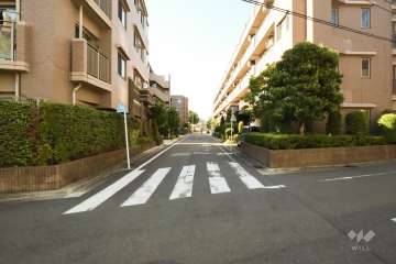 敷地北東側の前面道路(南東側から)