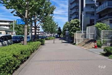 敷地西側の前面道路(南側から)は、多摩沿線道路です。