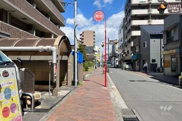 敷地の南東側前面道路（南西側から）
