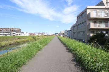 敷地西側の遊歩道(南側から)