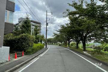 敷地の西側前面道路（北側から）