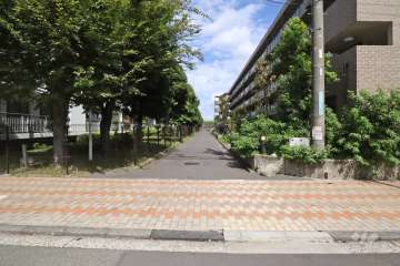 敷地東側の前面道路