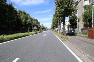 敷地南西側の前面道路（南東側から）