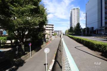 敷地東側の前面道路（南側から)