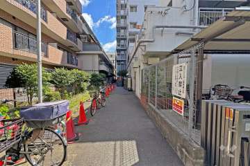 敷地の北側前面道路（西側から）