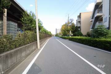 敷地北側の前面道路(西側から)