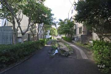 敷地南西側の前面道路　