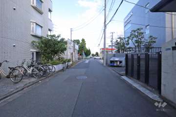 敷地南側の前面道路(西側から)