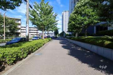 敷地西側の前面道路　