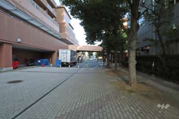 敷地北側の前面道路