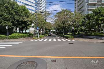 敷地北側の前面道路(西側から)