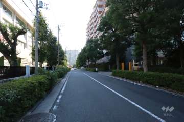 敷地南側の前面道路(西側から)