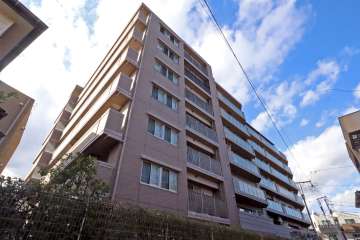 ナイスエスアリーナ新川崎の外観（南東側から）