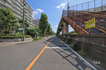 敷地西側の前面道路（北側から）