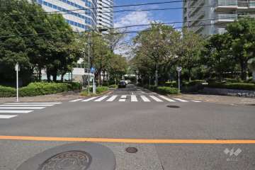 敷地北側の前面道路（西側から）
