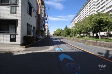 敷地西側の前面道路(南側から)