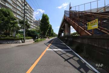 敷地西側の前面道路(北側から)