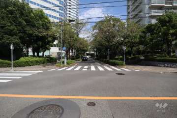 敷地北側の前面道路(西側から)