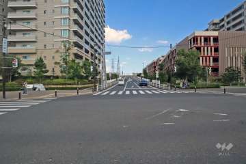敷地南側の前面道路（西側から）