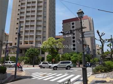敷地北側と西側の前面道路。約29％の公開空地が設けられ、木々が茂り緑豊かです。