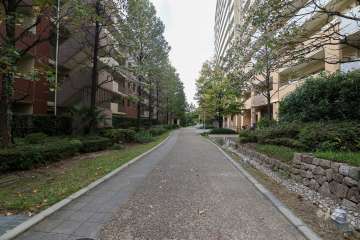 J棟南側の通路（東側から）