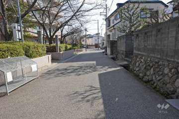 敷地南側の前面道路（西側から）