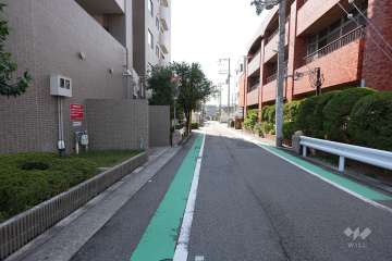 敷地西側の前面道路（北側から）