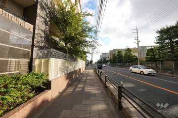 敷地西側の前面道路（北側から）