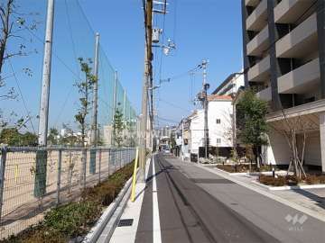敷地南側の前面道路。道を挟んで南側は用海小学校です。