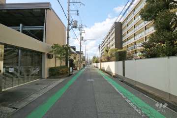 敷地北側の前面道路（東側から）