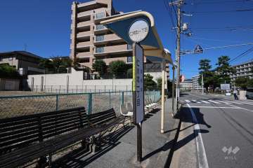 敷地北東側の前面道路。二車線のバス通りです。　