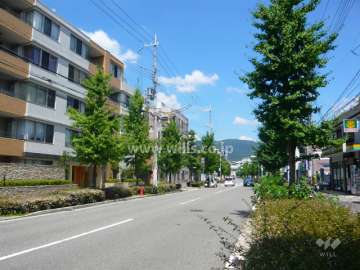 周辺は街路樹のきれいな道です