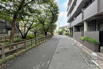 敷地南側の前面道路（東側から）