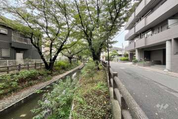 敷地南側の水路（東側から）