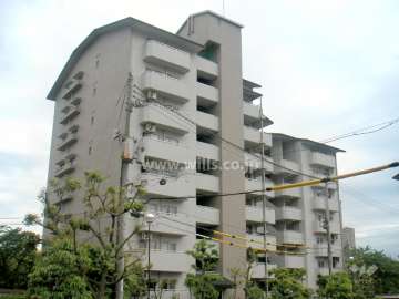 芦屋緑2住宅 1号棟