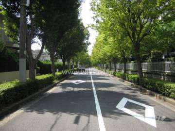 敷地南側の道路