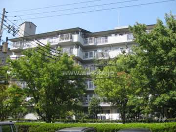 芦屋緑2住宅 8号棟