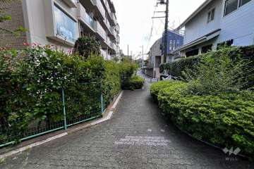 敷地南側の前面道路（西側から）