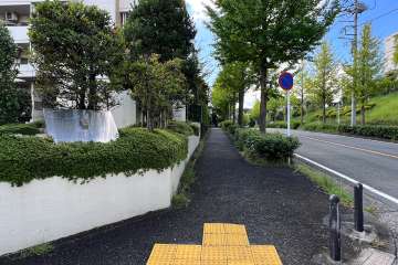 敷地西側の前面道路（北側から）