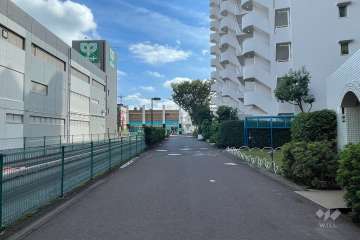 敷地北側の前面道路（西側から）