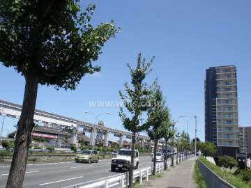 敷地の北側は中央環状線に面しています。