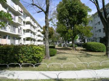 手入れの行き届いた芝生の庭