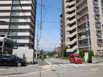 敷地東側の前面道路。